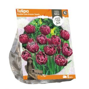 Baltus Tulipa Double Late Dream Touch tulpen bloembollen per 5 stuks